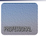 professional